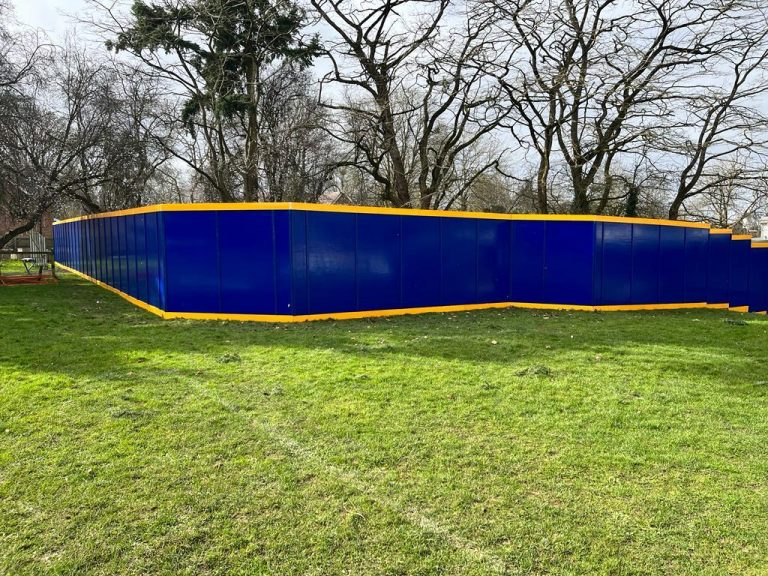 Details about the project